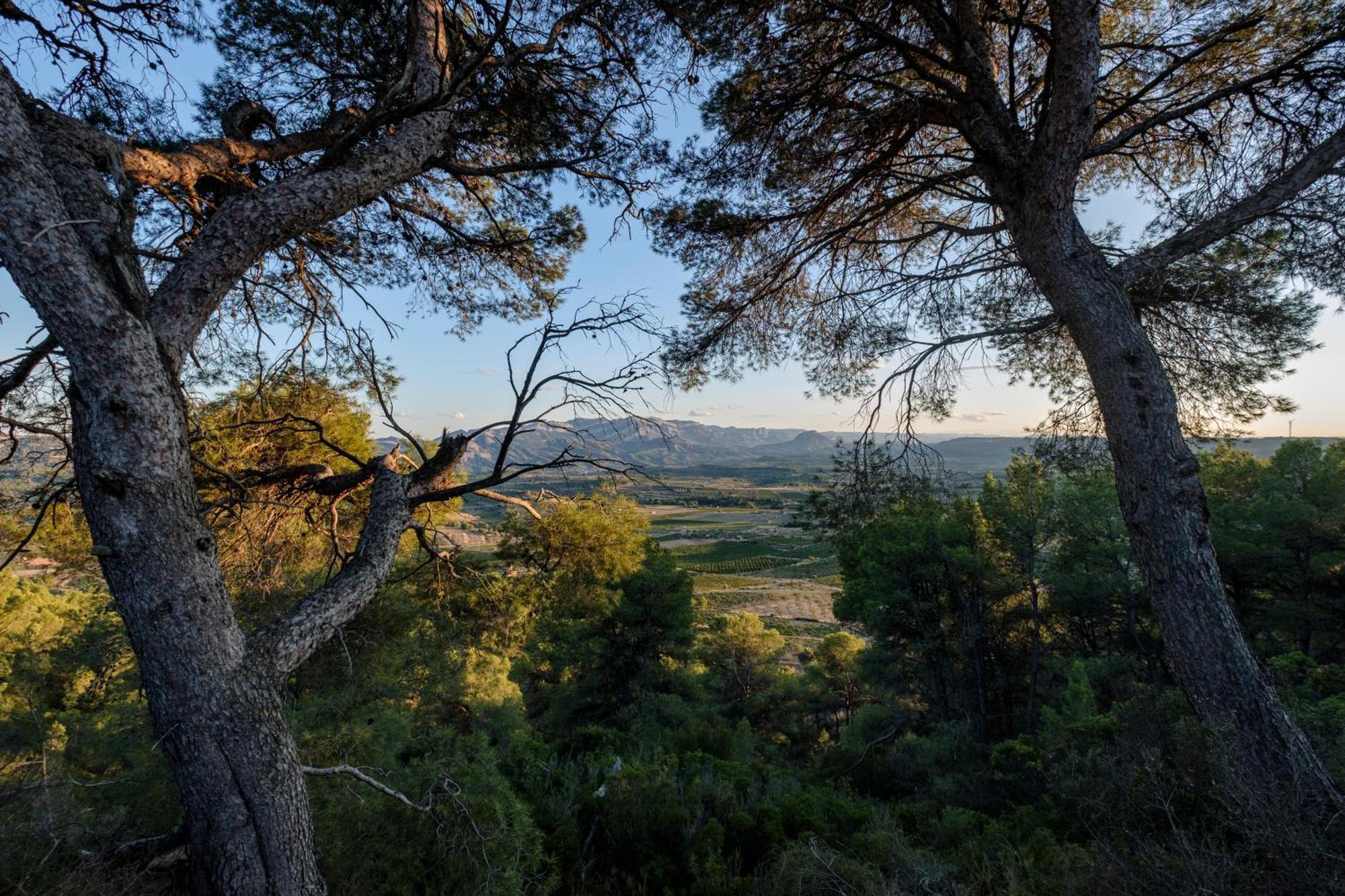 Enoturismo Celler Pinol Apartment Batea Екстериор снимка